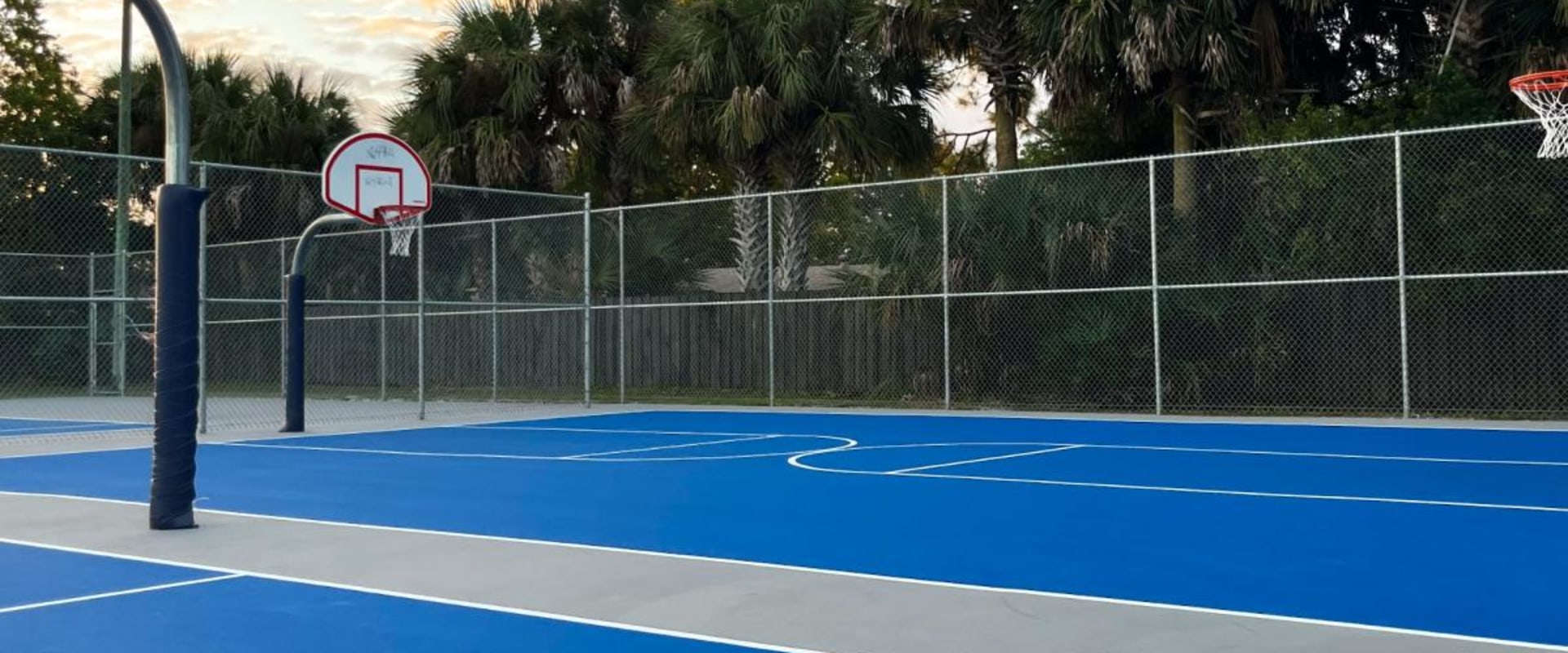 The Benefits of a Pet-Friendly Policy at Sports Facilities in Leon County, Florida