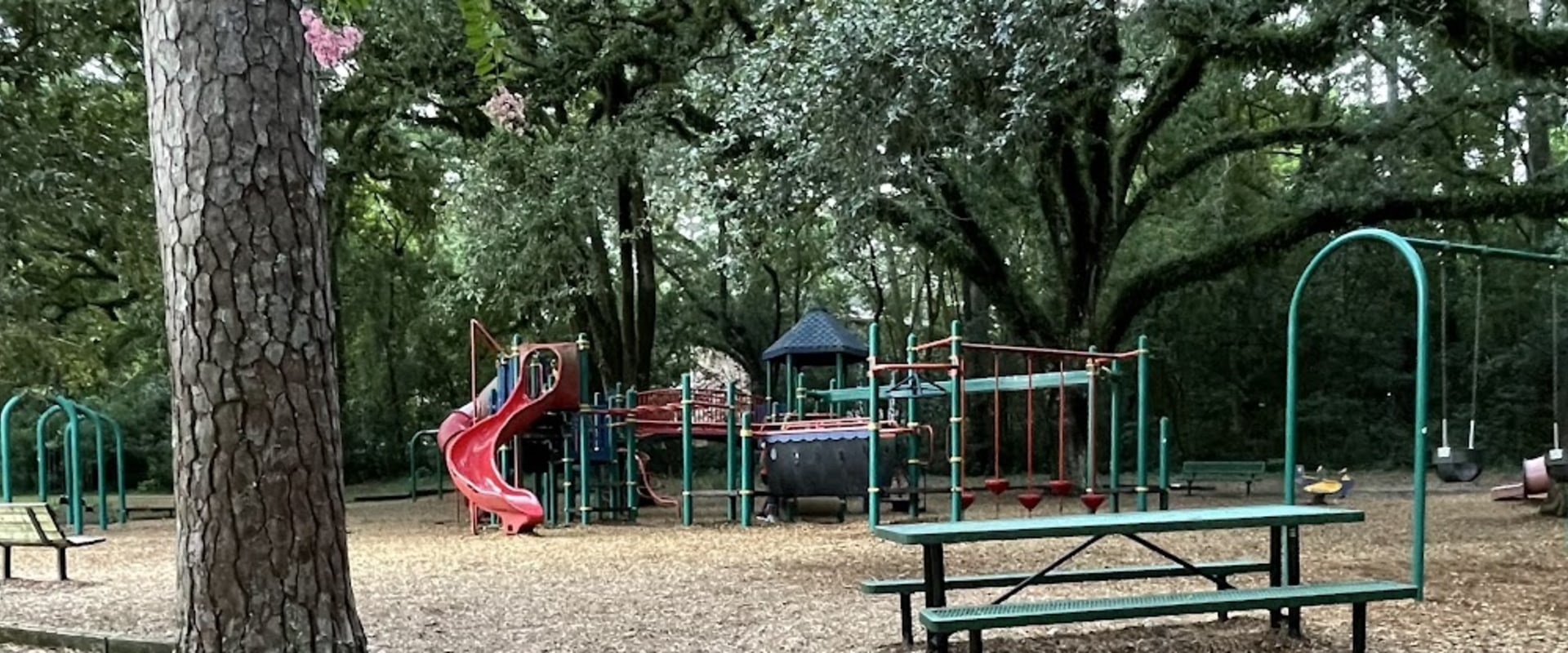 The Ultimate Guide to Sports Facilities for Children in Leon County, Florida