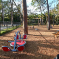 Exploring the Diverse Sports Scene in Leon County, Florida