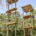 Exploring the Best Public Sports Facilities in Leon County, Florida