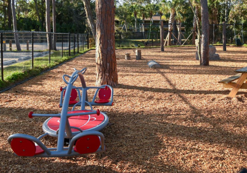 Exploring the Diverse Sports Scene in Leon County, Florida