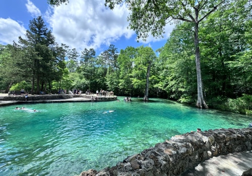 Exploring the Best Sports Facilities in Leon County, Florida
