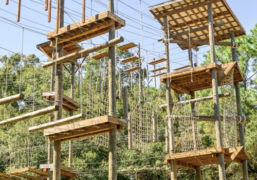 Exploring the Best Public Sports Facilities in Leon County, Florida